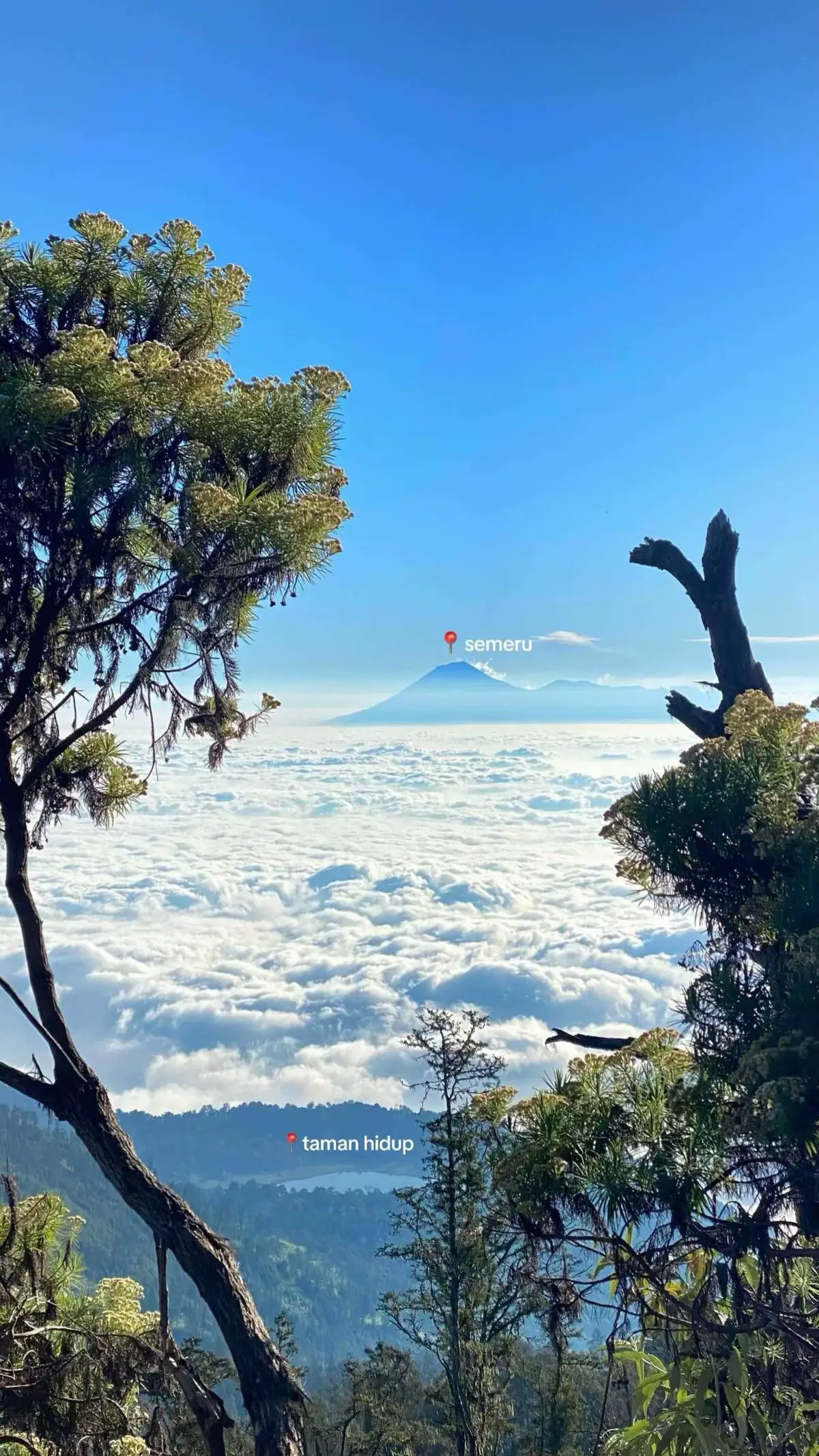 #semeru3676mdpl #argopuro3088mdpl #mountain #hikingadventures 