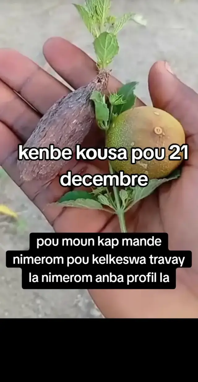 #ayutingting #ayutingting 