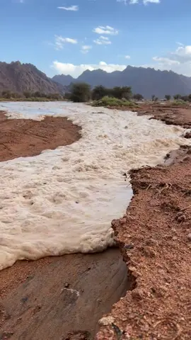 #في هذا اليوم 