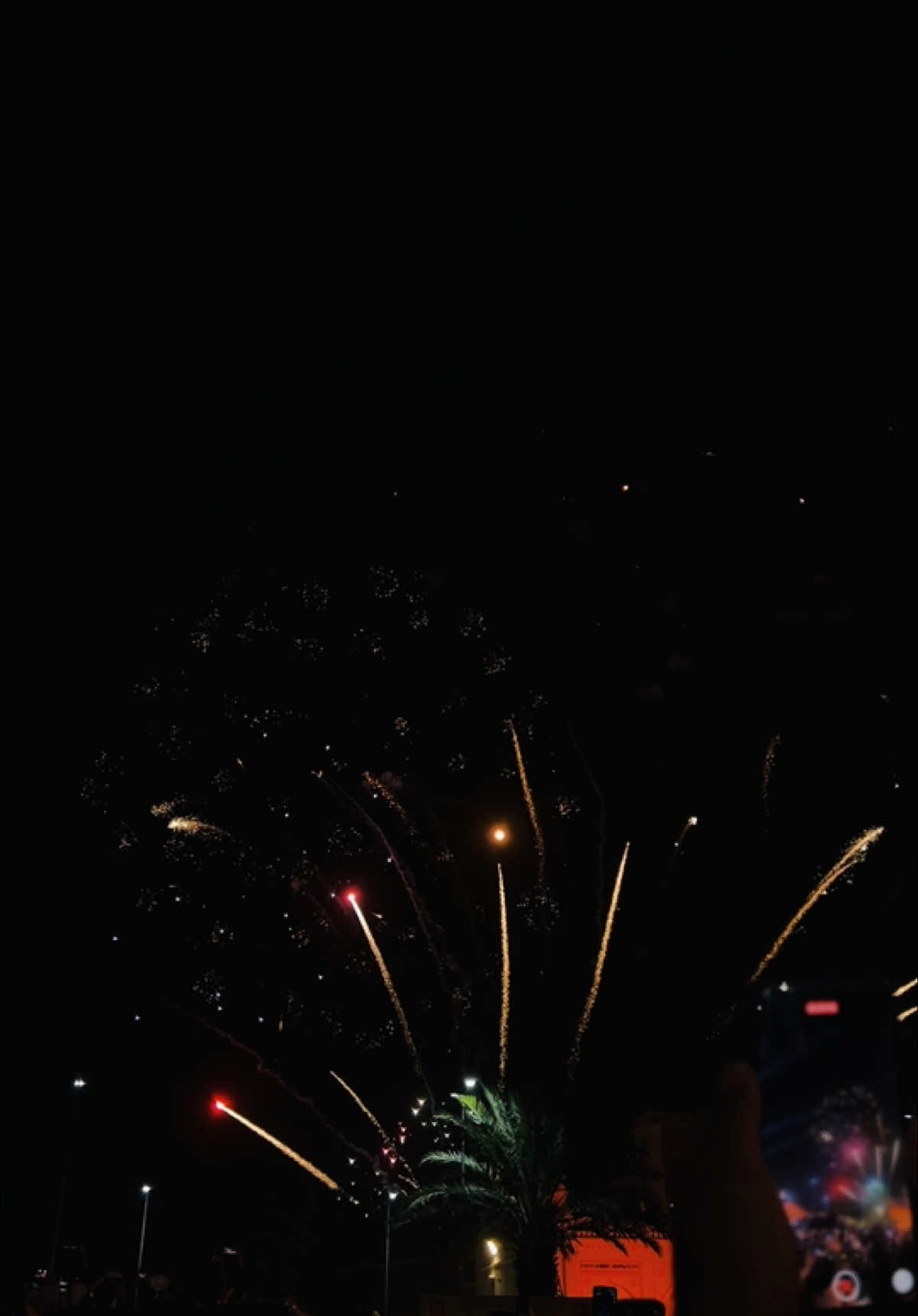 556GurPurab🖤🫰#shreenankanasahib #Foryou #foryoupage #bansilalkundnani #Trending 