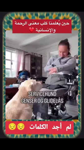 كاب افضل من مليون بشر 😉😉😉😔😔😔🥰🥰🥰👌👌💯💯💯#♥️♥️♥️♥️♥️ #♥️♥️ 