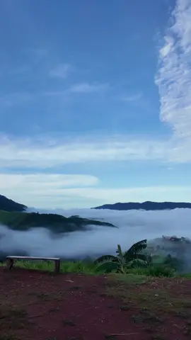 เป็นหมอกที่ฟูที่สุด🍃 #น่าน #ห้วยโทน 