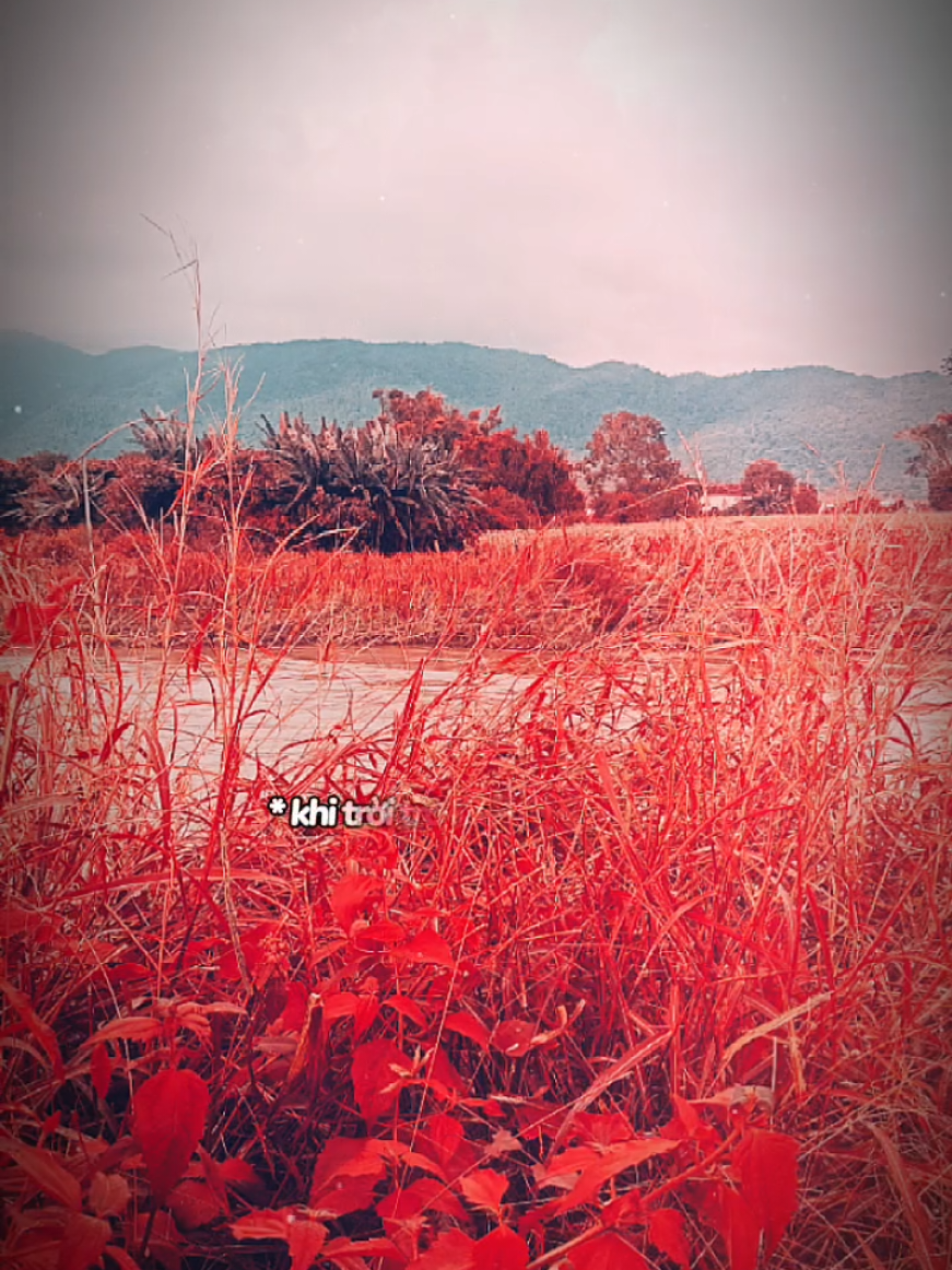 Chỉ có bản thân mình mới giúp dc mình...vì vậy hãy yêu bản thân thật nhiều... #capcut #nhachaymoingay #buon #buon_tam_trang #traitimtonthuong💔 