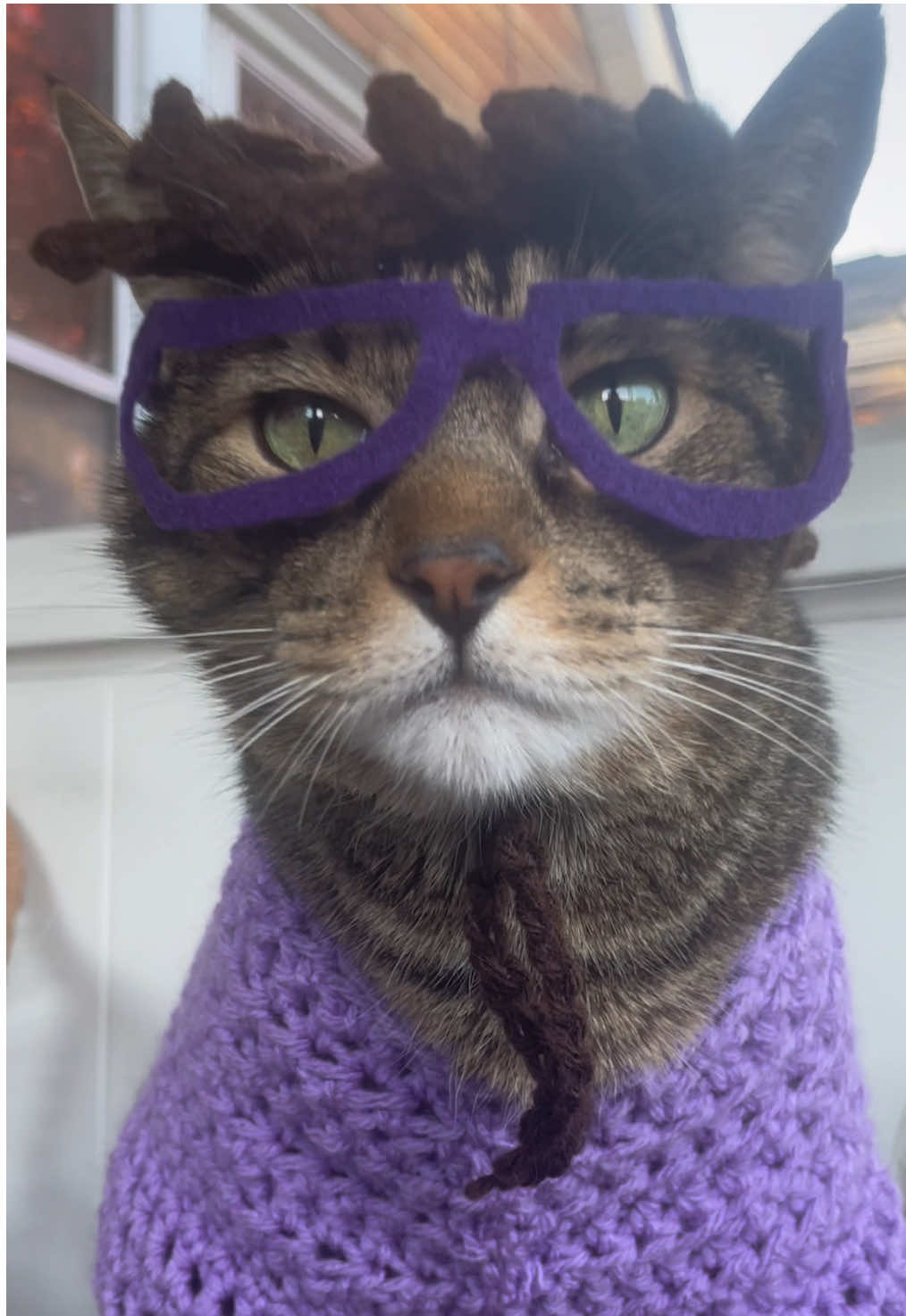 Aunt Gayle is finally here. #auntgayle #bobsburgers #chanceinhats #cathat #crochetcathat