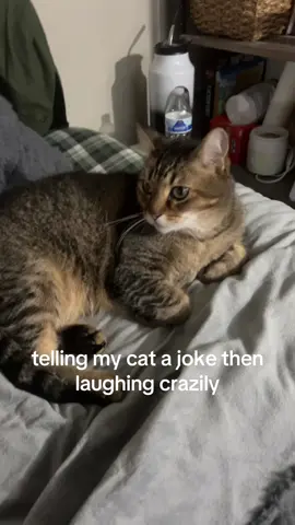 no caption… also idk if anyone did this joke before but i just thought it up on my own bc i was listening to the meow mix commercial earlier.. 