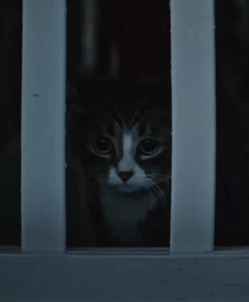 since y’all wanted me to edit the right diva 😛 fave final girl iktr cc + presets mine #cat #edit #itwelcometoderry #aestheticedits #blowthisup 