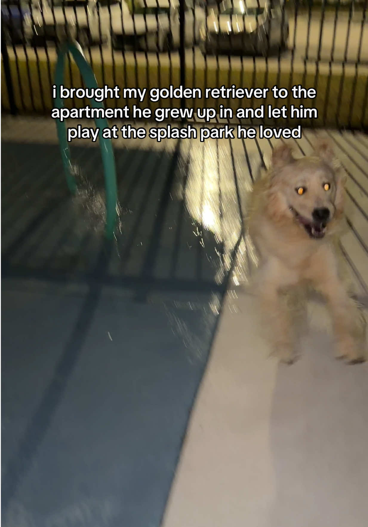 he was so happy im crying😭😭