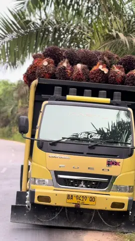 buah supernya kaka🫣