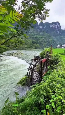 سعد الحديثي  يابو جرد ناعور احا  مجرد ذوق 