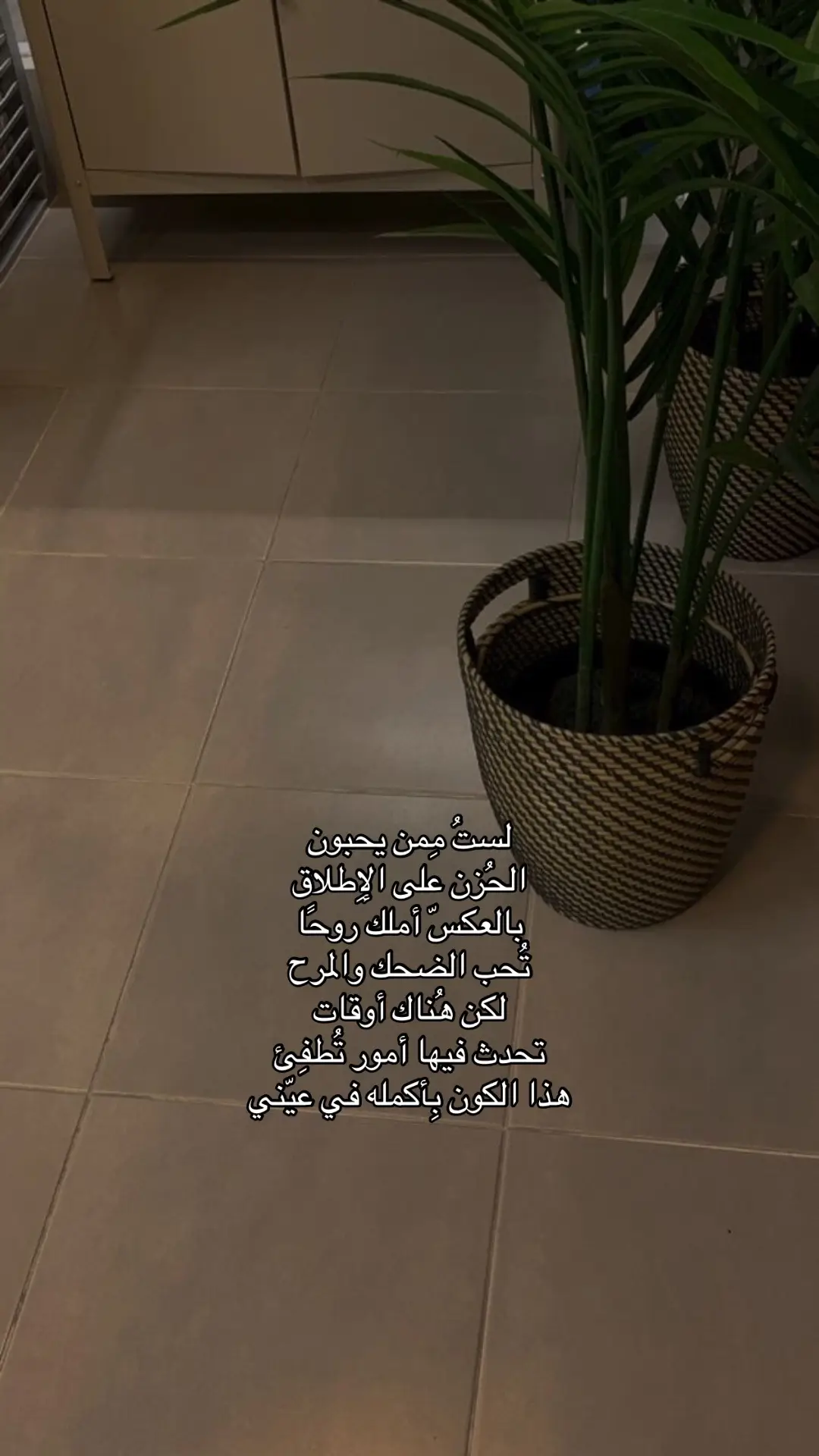 #fyp #explore #foryou 