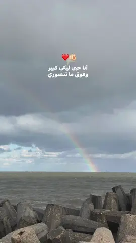 #ابووديع_سلطان_الطرب #1moouu☝🏻 #چورچ_وسوف #viralvideo #xplore 