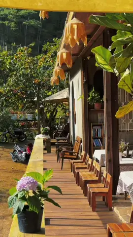 Cảm ơn người tình | Lam Phương #dalat #trending #videoviral #lamphuong #lungchungquan 