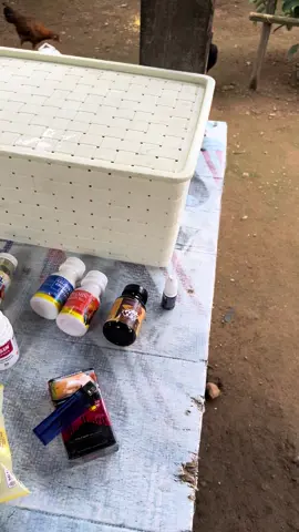 Ngopi itu tidak harus di coffe shop😁#ayamimportfilipin🇵🇭 #fyppppppppppppppppppppppp #semua 