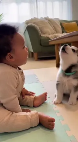 Baby: ‘You a baby?’ Puppy: ‘You a puppy?’ 🐶👶  #fyp #caspaai #funnyaivideo #FunnyPetReel #funnyreelsvideo