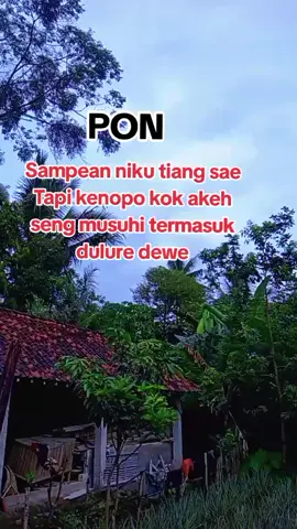 Kenopo kok sering dimusuhi# Weton Pon#