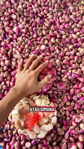 Bawang kualitas juara 😍 #petanibawangmerahbrebes #cekkeranjangkuningya🙏🙏🙏 #fyp 