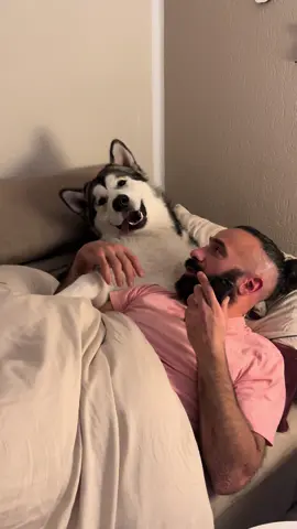 Man sagt, Liebe braucht keine Worte, aber er braucht nur einen Blick, und ich weiß, Babisch😊 Milch bitte. 🍼🤍🥺  #Thaiamg #MilchZeit #BabyWolf #PapaUndSohn #Seelenhund