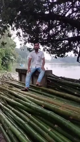 ভালোবাসার এ আলো জ্বালাতে পেরেছে কয়জন#টিক #ভিডিও #বাংলাদে #ফর ইউ