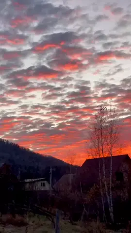 Доброе утро ☺️ #доброеутро  #доброеутродрузья  #Алтай  #алтайскийкрай  #красотаприроды