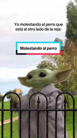 Perdón perrito 💀 #humor #perro #miedo #fyp 