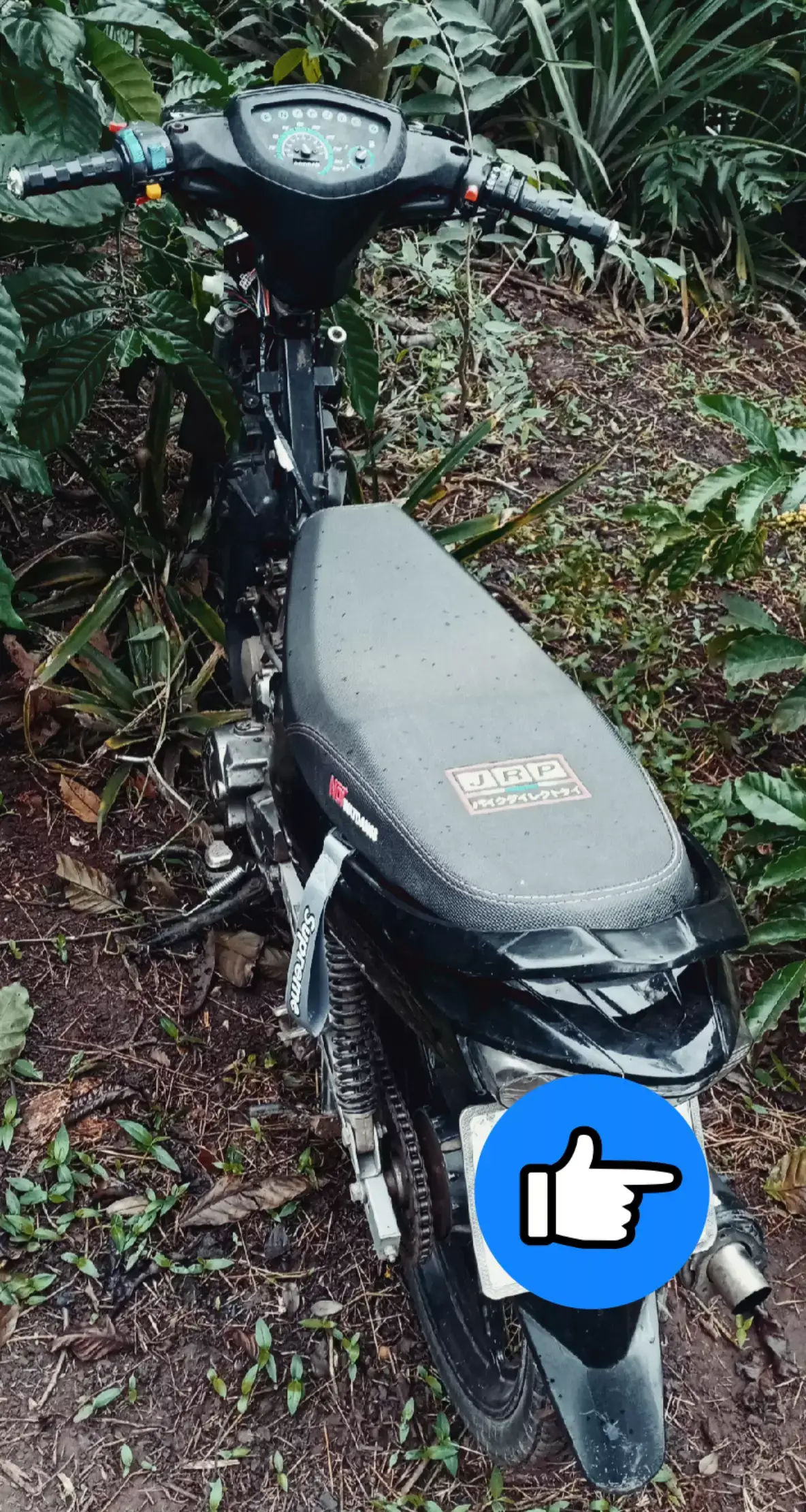 nhờ em nó quá #xuhuong #xuhuongtiktok 