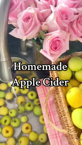 I honestly thought apple cider was something sort of concoction that I couldn’t just whip up at home. My mind is blown and now I have TONS of cider! I feel so fall 🤭 🍂🍎 Also, apparently non alcoholic apple cider is an American thing. If I call it apple cider anywhere else they gonna be expecting carbonation and booze. I DEFINITELY can’t make that at home. 😅 #homemadeapplecider #homemadechristmasgifts #diychristmas 