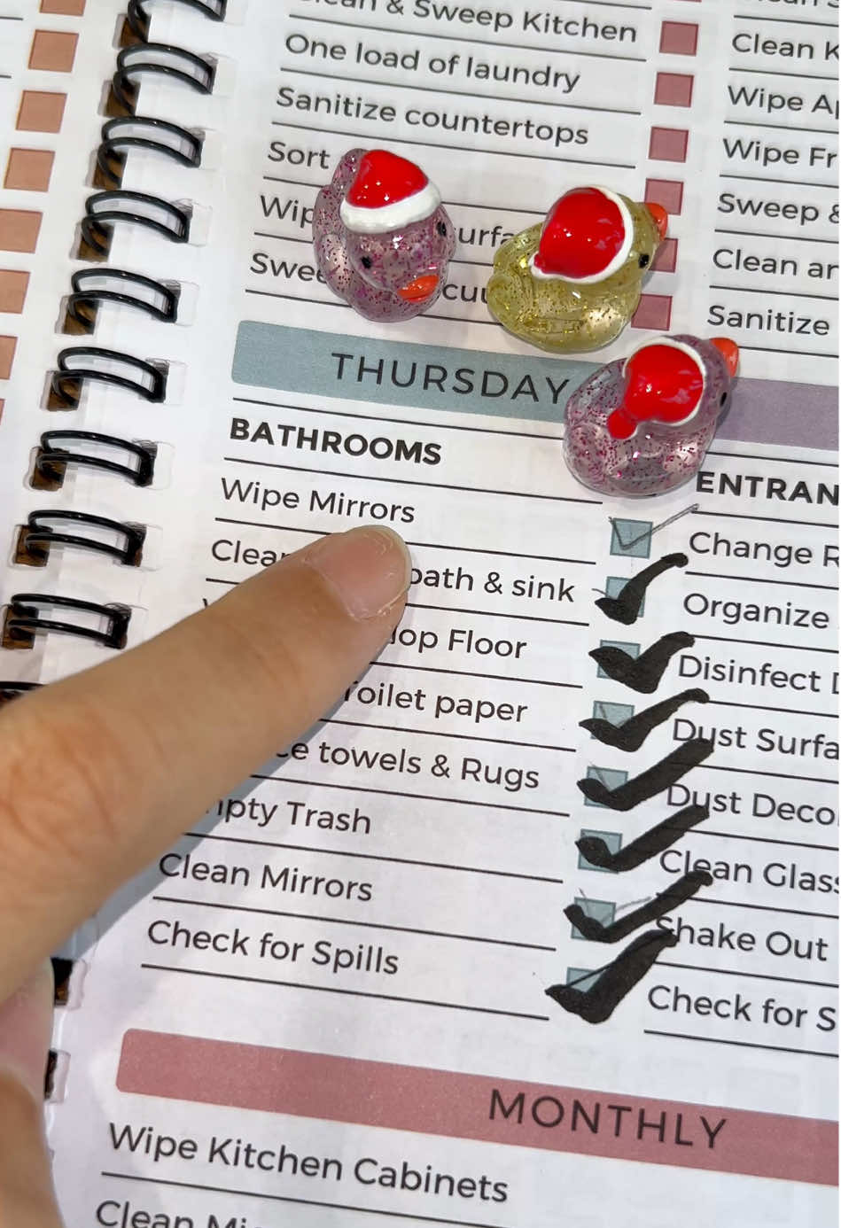 I'm so excited to clean my house using this 🧼✨ #cleaning #deepclean #CleanTok #springcleaning #planner           