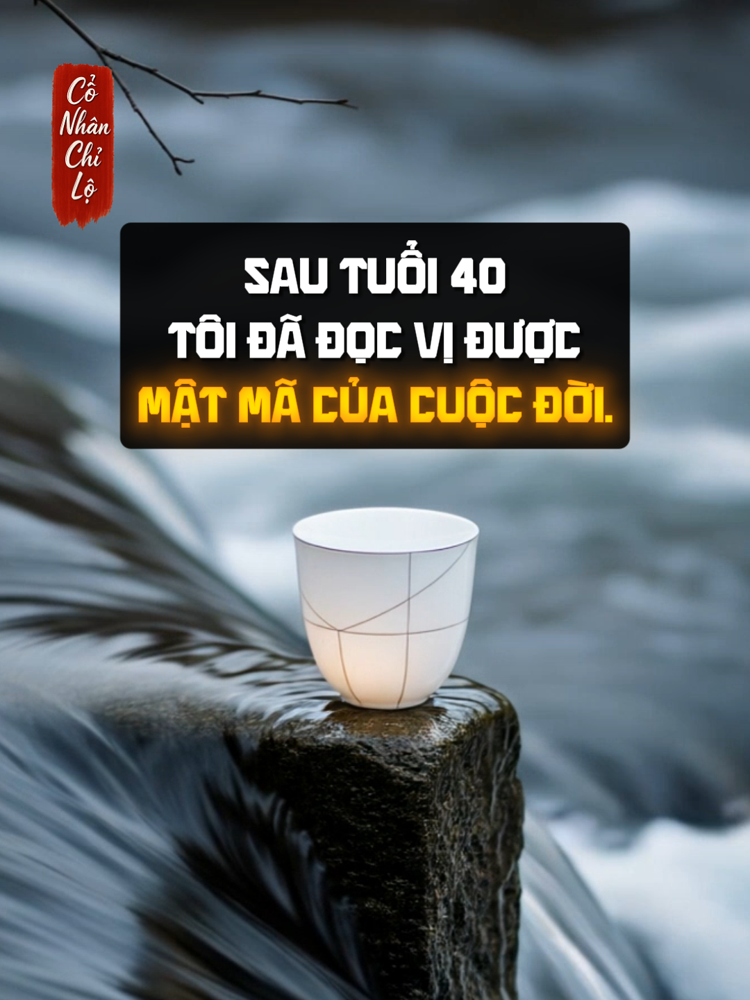 Sau tuổi bốn mươi, dường như chỉ sau một đêm, tôi đã đọc vị được mật mã của cuộc đời. #conhanchilo #baihoccuocsong #TrietLySong #trietlycuocsong