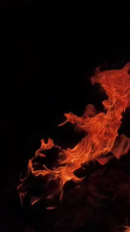 #شعر #هوار #البصره #حميدان @حمـــيدان ✨ #لايك_متابعه_اكسبلور فدوه لقلبكم