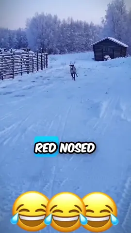 😂😂😂 #voiceover #talking #animals #fyp #halloween 