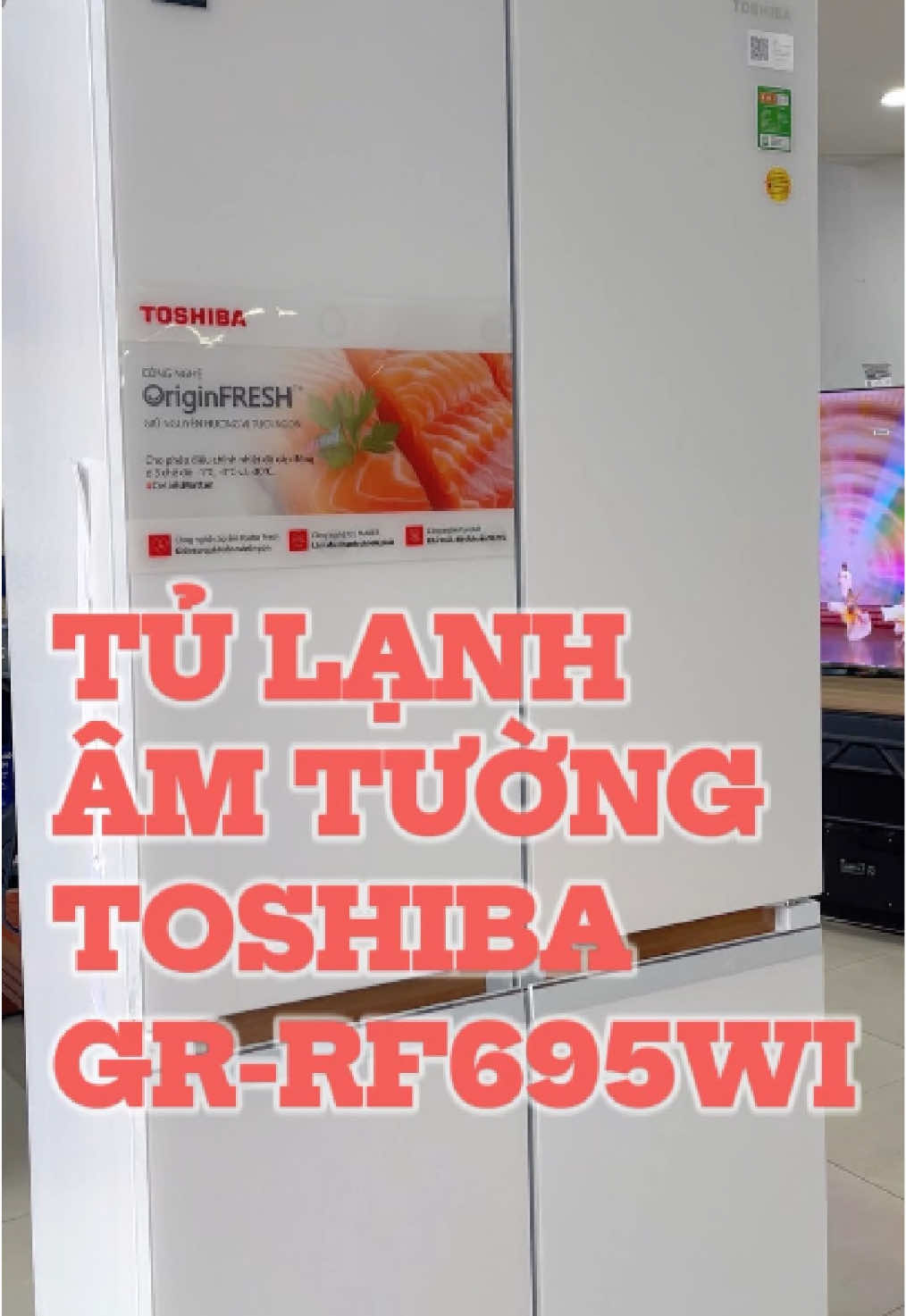 Tủ lạnh âm tường Toshiba mẫu mới 2025 #ĐiệnMáyÁnhChinh #trending #anhchinh #toshiba 