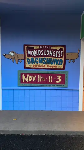 With the loss of SNAP benefits, it’s not only humans who lose their access to food… it’s pets too. With my friend at @petpackpdx and @thefillingstationpetsupplies, we’re hosting a community art event to raise money for supplies to support our four-legged friends. HUGE thanks to @firstmatekasikspetfoods for making this possible! On Tuesday November 11th from 11am - 3pm, join us for The World’s Longest Dachshund! Participation is easy: just use our QR Code to donate to @petpackpdx and show us on your phone! When you do, you’ll receive a sticker AND a paintbrush. We supply the paint, you bring the dachshund to life any way you want - no art skills required! 707 NE Fremont Street, Rain or Shine!