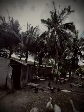 真正的爱情不是一时好感，而是我知道遇到你不容易，错过了会很可惜。 tình yêu đích thực không phải là ấn tượng nhất thời, mà là gặp được anh em biết điều đó không hề dễ dàng,nếu bỏ lỡ sẽ rất tiếc nuối.#varil #fyp 