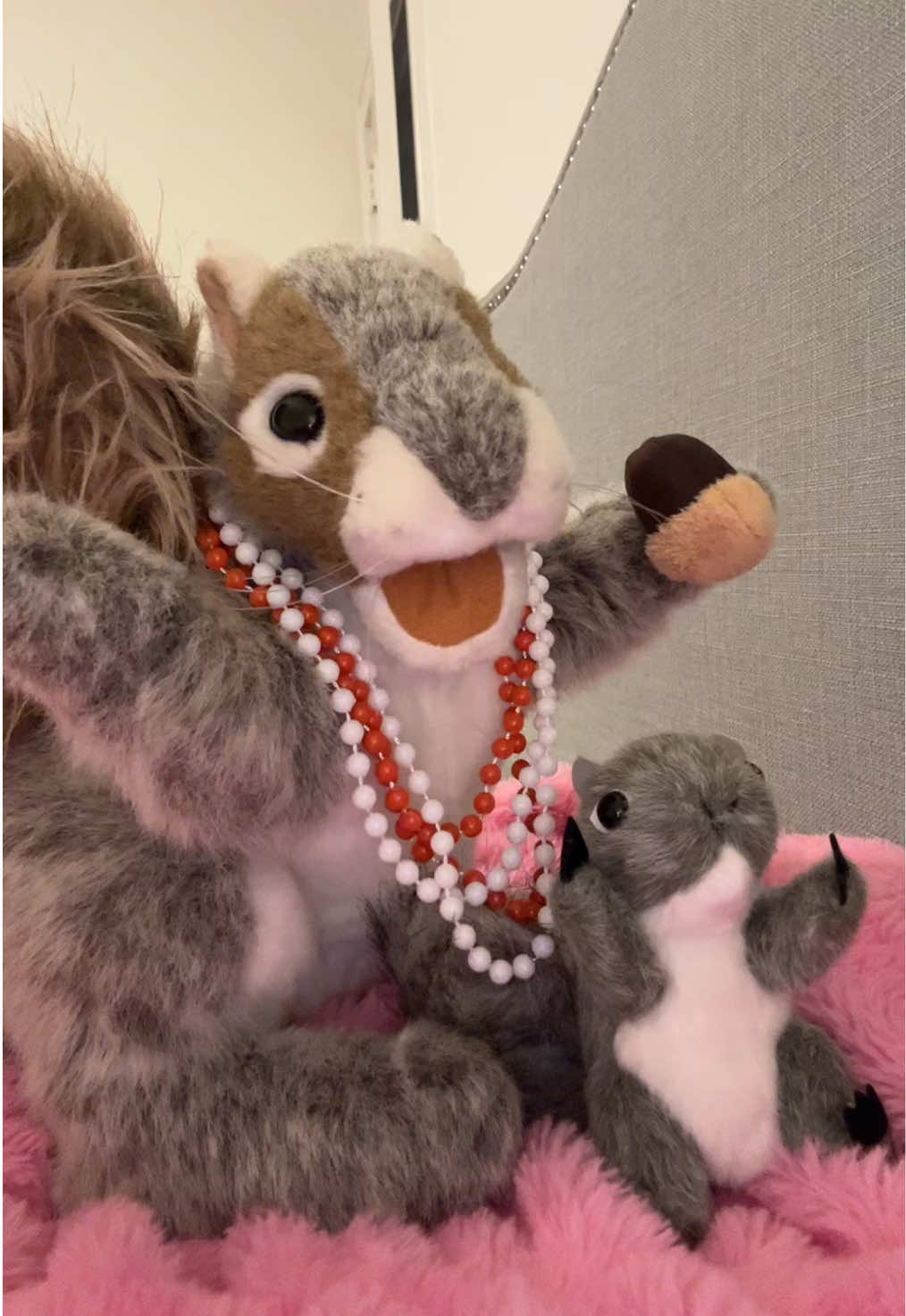 I would like to dedicate the last song left on The Life of a Showsquirrel: Nutella’s Version to my beautiful baby mama @Pips and our perfect baby 🧡🐿️🩵 #taylorswift #ts #ts12 #fyp #thelifeofashowgirl 