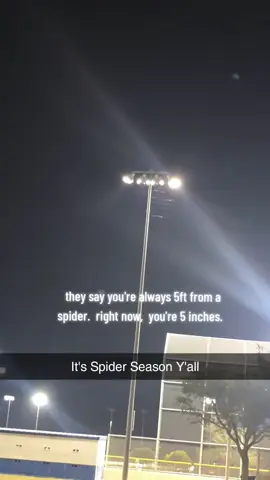 #SpiderSeason #Spiders 