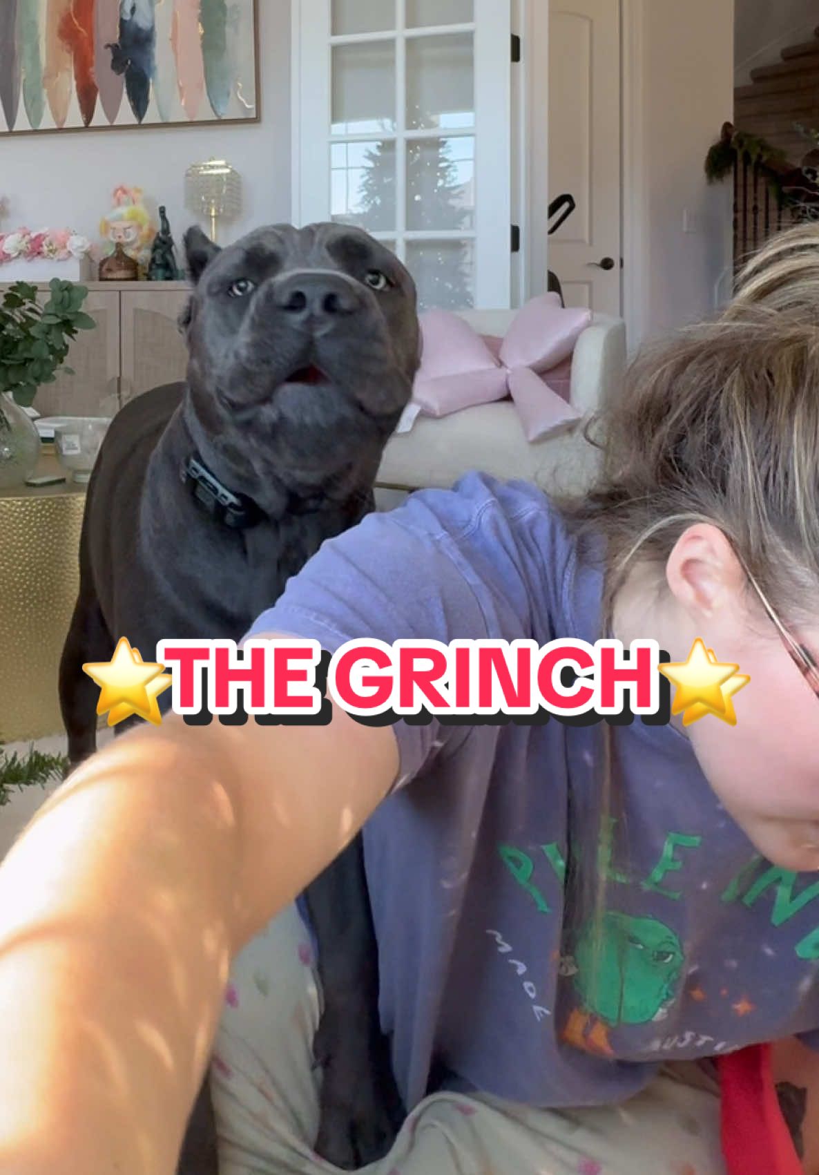 ⭐️CHRISTMAS CRASH OUT 2025⭐️ THE GRINCH…. #christmas2025 #cristmascrashout #christmas2025 #beauthesilverbackgorilla 