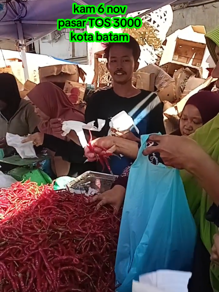 #cabemerah #cabekeriting  #cabe  #tomat #tomatmerah 