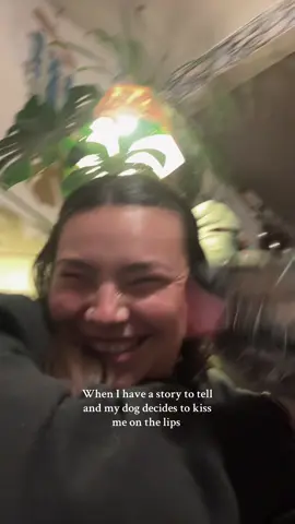 If you turn your sound up it’s quite funny 😂 #fyp #funny #dogs #dogsoftiktok #cute 