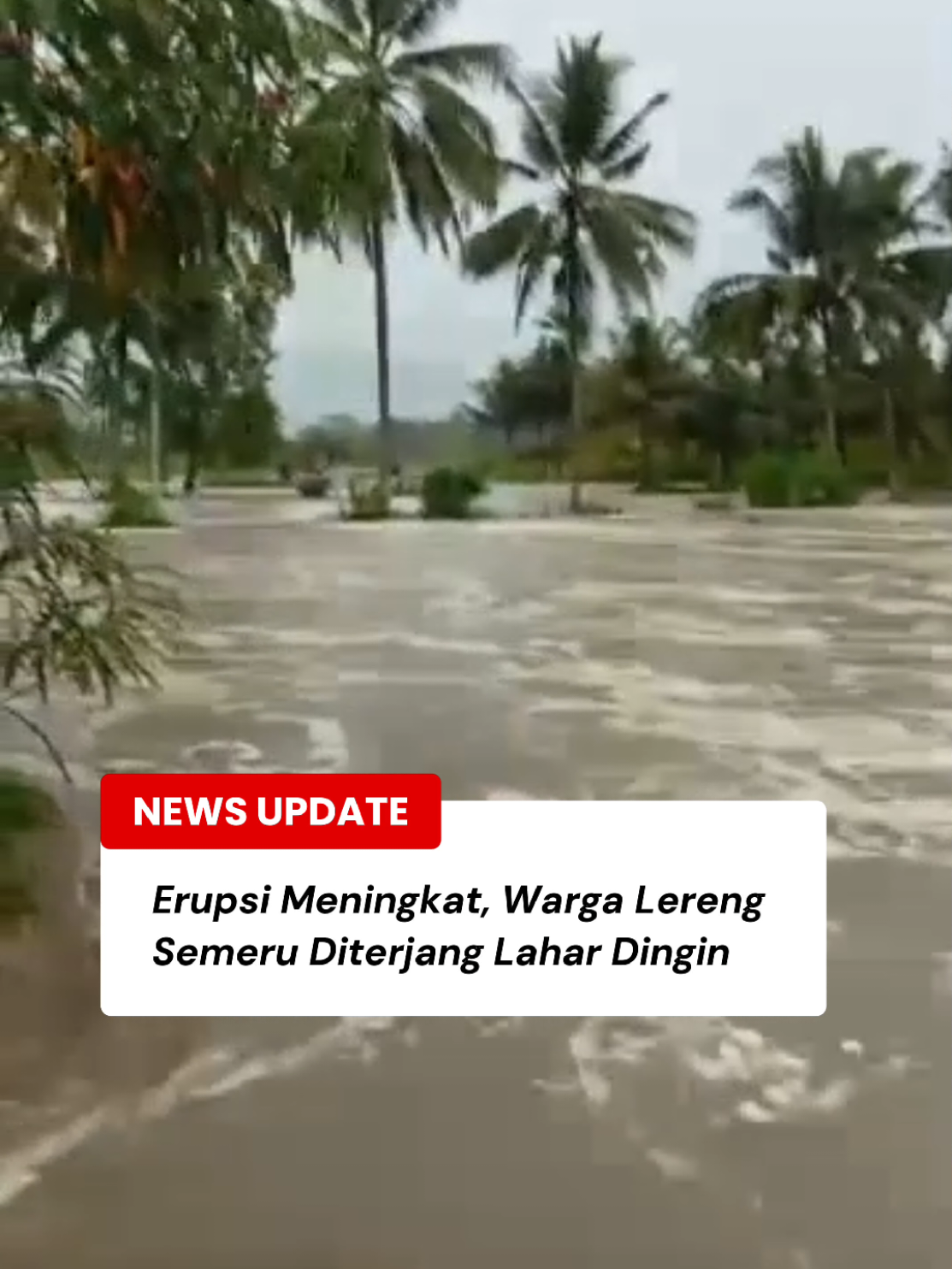 Aktivitas vulkanik Gunung Semeru kembali meningkat. Erupsi dan luncuran lava pijar selama sepekan terakhir memicu banjir lahar dingin yang menerjang permukiman warga di lereng Semeru, Rabu (5/11). Arus deras material vulkanik melintas di jalur Kali Regoyo, kawasan Gondoruso.  BPBD Lumajang mengimbau warga di jalur aliran lahar untuk tetap waspada, terutama saat hujan deras mengguyur wilayah hulu. Selengkapnya simak di wartabromo.com atau klik link hijau di pojok kiri bawah video #Semeru #Lumajang #BanjirLaharDingin #ErupsiSemeru #WartaBromo     Dipersembahkan oleh: 💐Warmo Florist | Pusat Karangan Bunga dan Buket Pasuruan @warmoflorist (0813-5799-2501)