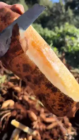 #nongsanthuhuyen #ancungtiktok #samdat 