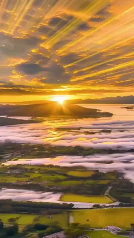 NAM MÔ A DI ĐÀ PHẬT XIN THƯỜNG NIỆM 🙏🙏🙏 #adidaphat🙏🙏🙏 #phapmontinhdo #MiTu88  #CapCut 