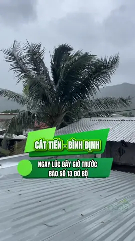 Bão vô còn kinh khủng hơn nữa, cầu cho mọi người được bình an!  #mangtravel #capnhatbaoso13 #baomientrung #thongtinbaoso13 #bao13 