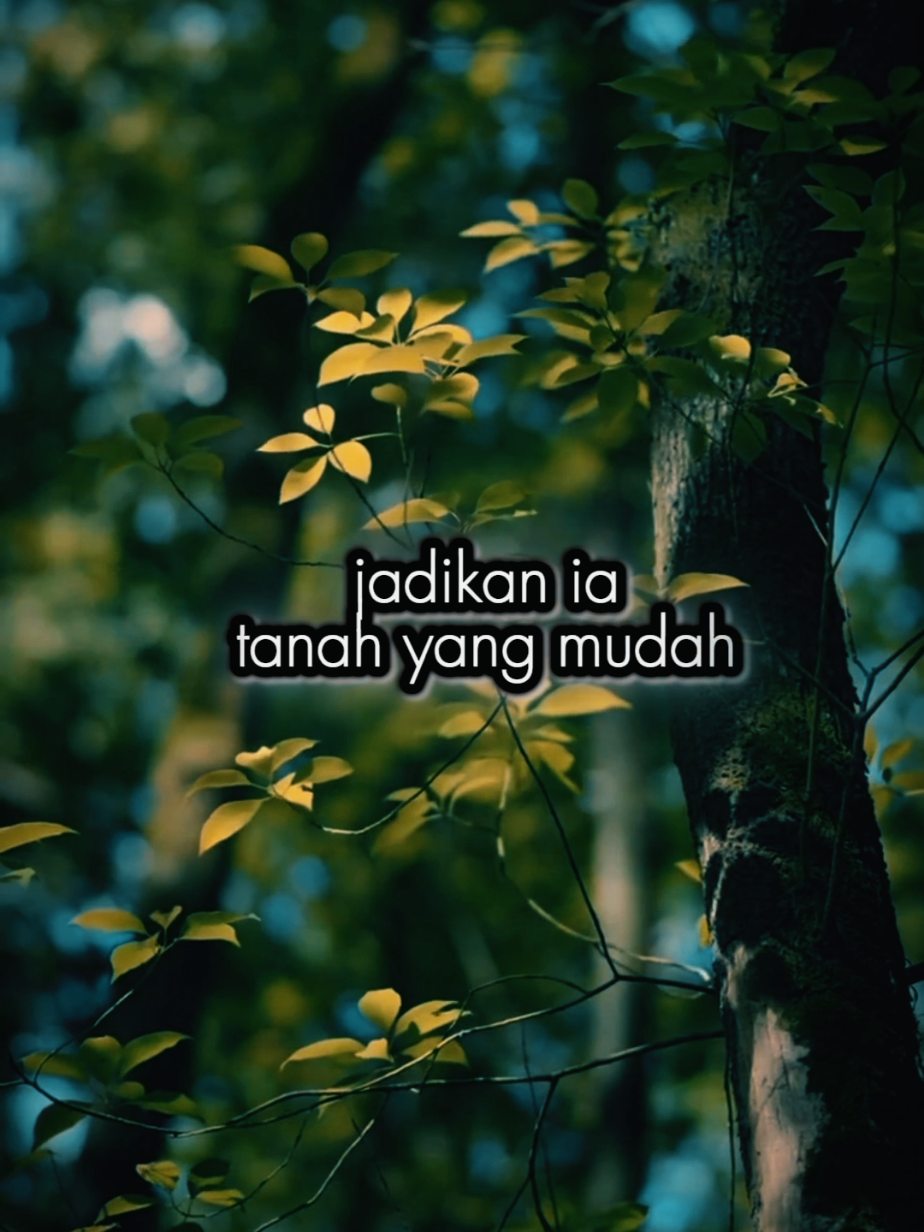 Nasehat diriku #nasehatdiri #quotesislam #bismillahfyp #selfreminder #november 