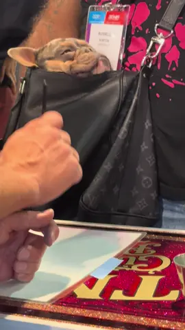 Vibes #goodlife #fyp @Tom Hudach 