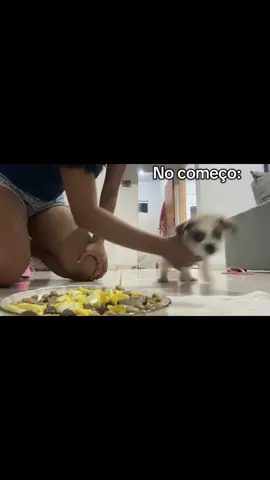 Tudo questão de costume. #pet #foryou 