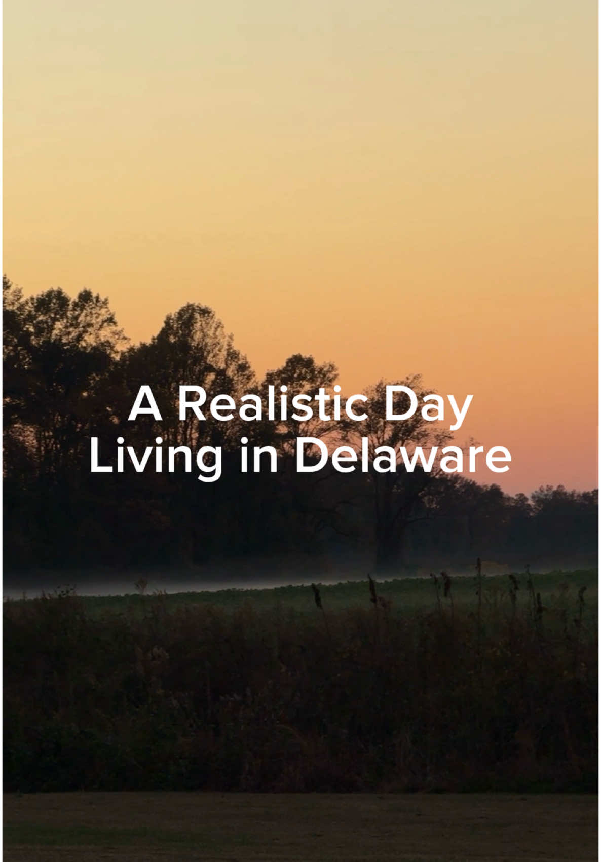 Spend a day in Delaware with us! Trying the new raising canes in Dover, Thrift shopping Goodwill all over the state, and exploring random businesses in the area 😅  🔍 Discover Delaware:  On the hunt for things to do? Browse @firststatedestinations and join our community to change how you experience Delaware! 💛 Buying or selling a home? Reach out to @michiahgrainger a Delaware Realtor and @relocatingtodelaware expert!  #delaware #thingstodo #PlacesToVisit #travelguide #exploremore #delawarebeaches #coastaldelaware #localguide #dayinthelife #dayinmylife #fallseason #newarkdelaware #wilmington #wilmingtonde #localguides #newarkde #fyp   Delaware, Things To Do, Visit Delaware, Explore More, Places to Visit, Delaware Lifestyle, Must Visit Fall Destinations, Must Visit Vacation Destinations, Coastal Delaware, Delaware Beaches, A Week in the Life, Small Town Fall Destinations, Small Town Destinations, Rehoboth Beach Delaware, Wilmington Delaware, Lewes Beach, Bethany Beach, Dewey Beach, Rehoboth Beach, Delaware spa experiences, Delaware massage and facial spa, east coast experiences in the fall, spend the day with me, family travel day, Local fall guide,