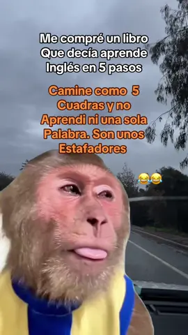 #meme #viral #paratii 