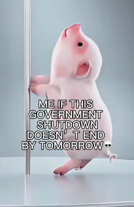🫠🥴#Meme #MemeCut #governmentshutdown 