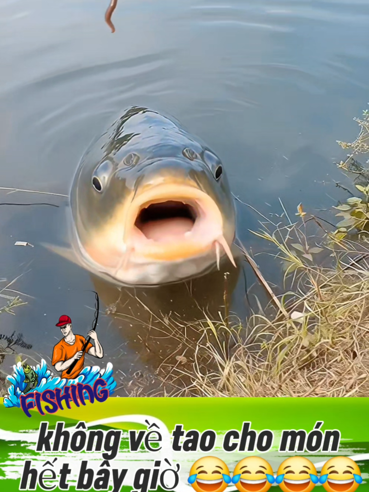 mưa gió gì cũng đi,cảm cũng đi mệt cũng đi 😂😂😂😂#dammecauca #caucagiaitri #caucatunhien #cauca 