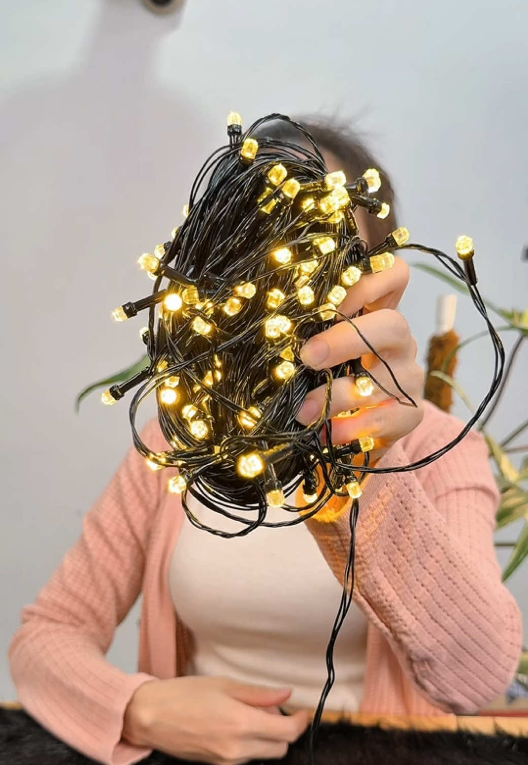 Đèn Nháy 40M Trang Trí Ngoài Trời sân vườn #dennhay #dennhaytrangtri #trangtrigiangsinh #trangtritet #binhbanhbeo  @Bình Bánh Bèo  @Bình Bánh Bèo  @Bình Bánh Bèo 